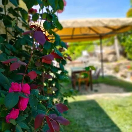 Ferienhaus Nelle Langhe