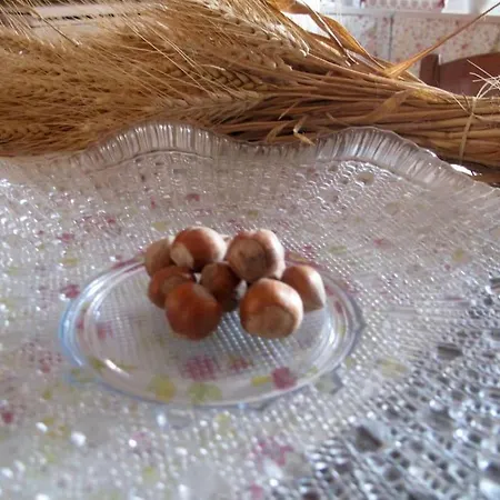 Nelle Langhe Ferienhaus