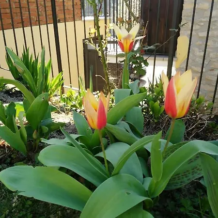 Ferienhaus Nelle Langhe *