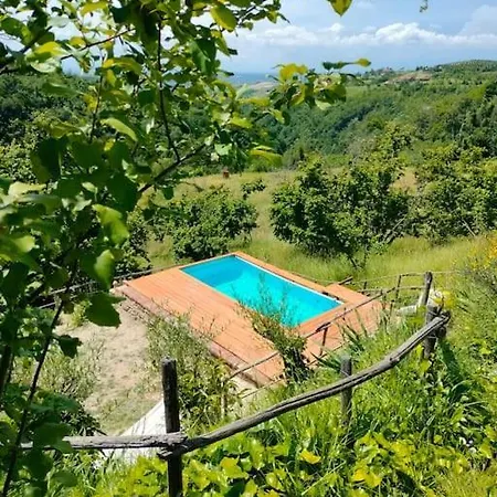 Nelle Langhe * Belvedere Langhe