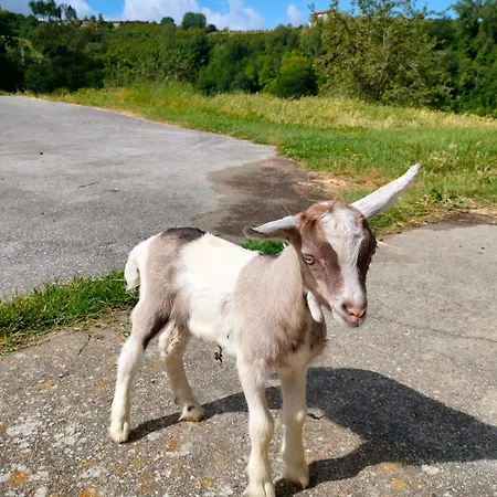 بيت للعطل Nelle Langhe *